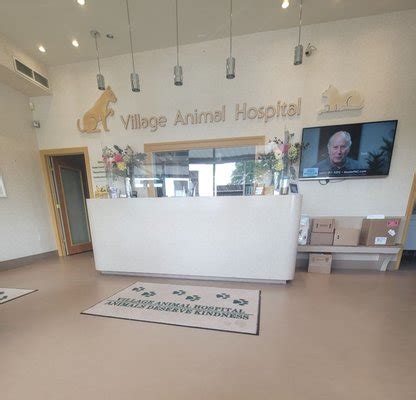 village animal hospital jericho